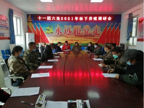 林下养禽助振兴 工作队调研与销售突围之路