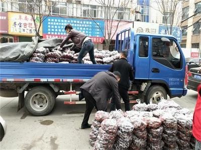 阜南县“团团带货”活动助力农户增收，家禽销售迎来新机遇